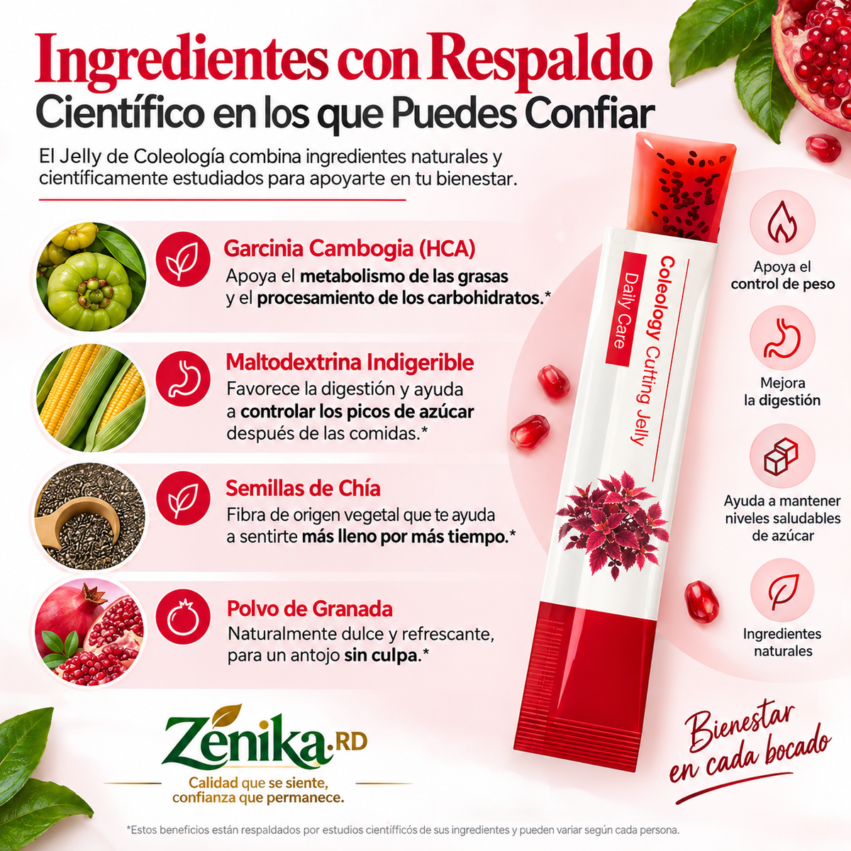 2 cajas de Barritas de Gelatina de Granada para Adelgazar, Fibra Prebiótica, Control del Apetito, Desintoxicación Intestinal, Colágeno
